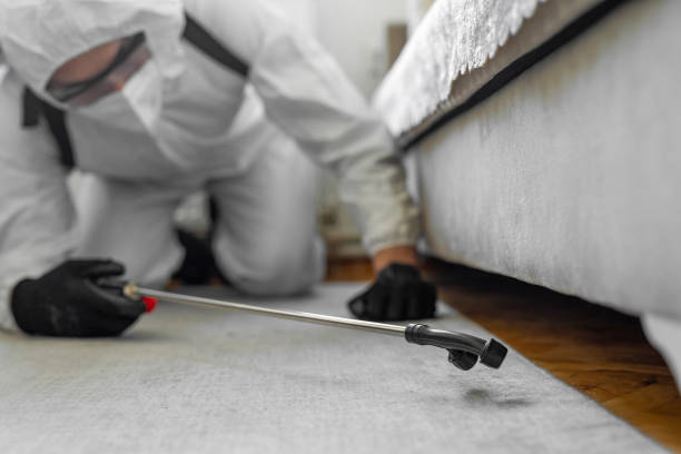 Professional Cockroach Control technician working in Somerset, WI
