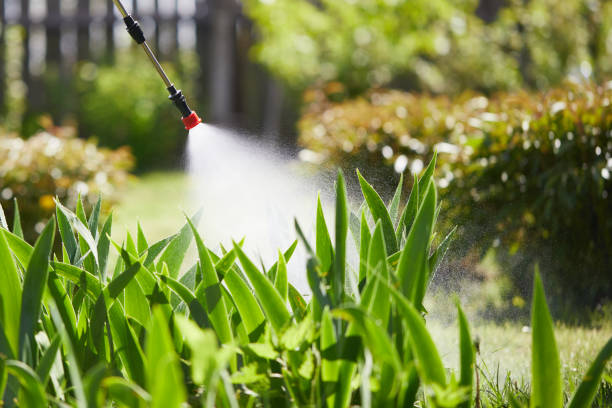 24/7 Emergency Cockroach Control experts in Somerset, WI