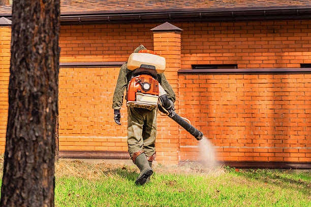 Top rated local Cockroach Control specialists in Somerset, WI